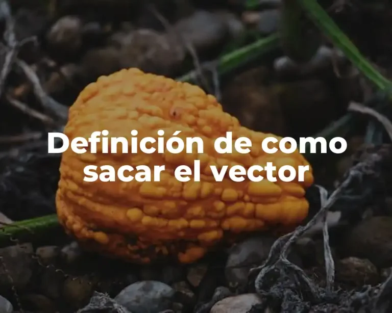 Definición de como sacar el vector