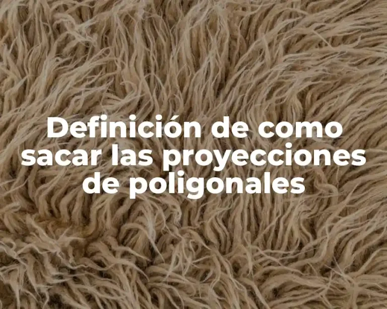 Definición de como sacar las proyecciones de poligonales