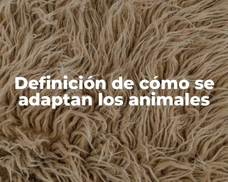 Definición de cómo se adaptan los animales