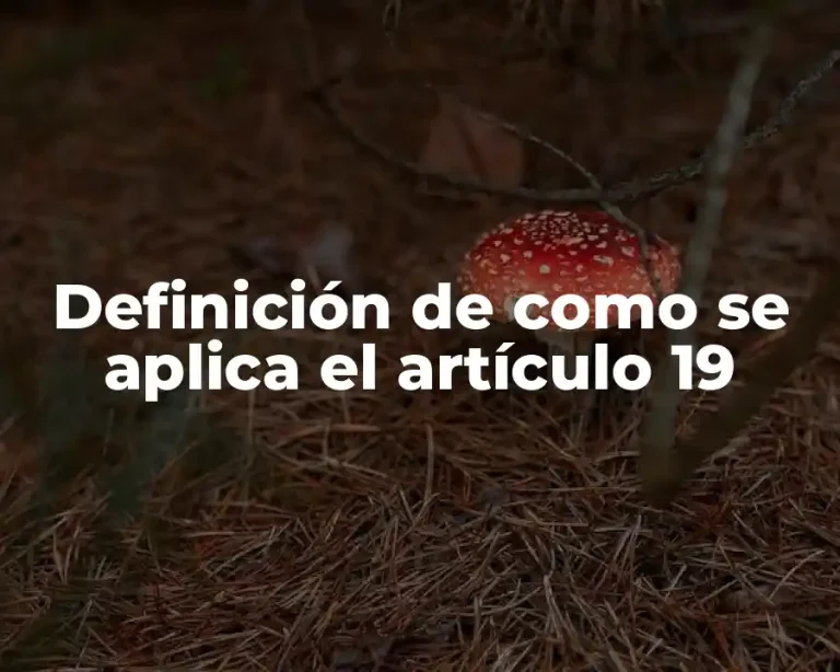 Definición de como se aplica el artículo 19
