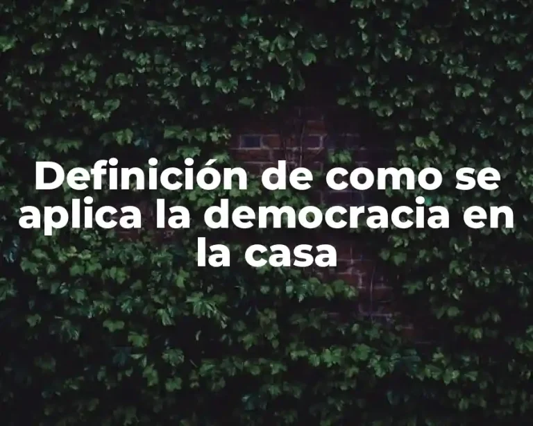 Definición de como se aplica la democracia en la casa
