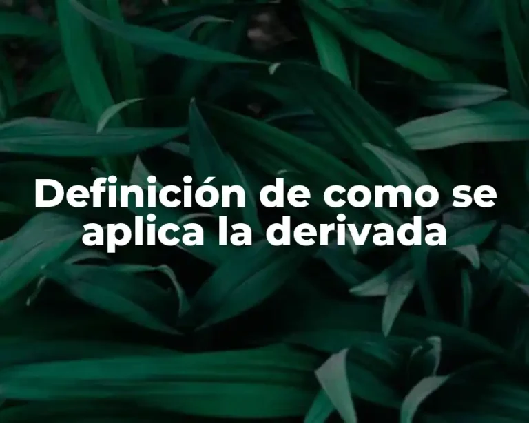 Definición de como se aplica la derivada