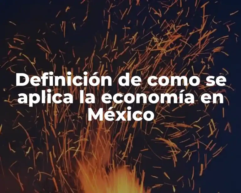 Definición de como se aplica la economía en México