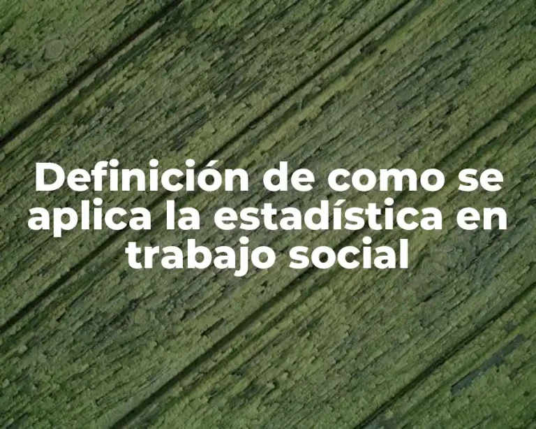 Definición de como se aplica la estadística en trabajo social