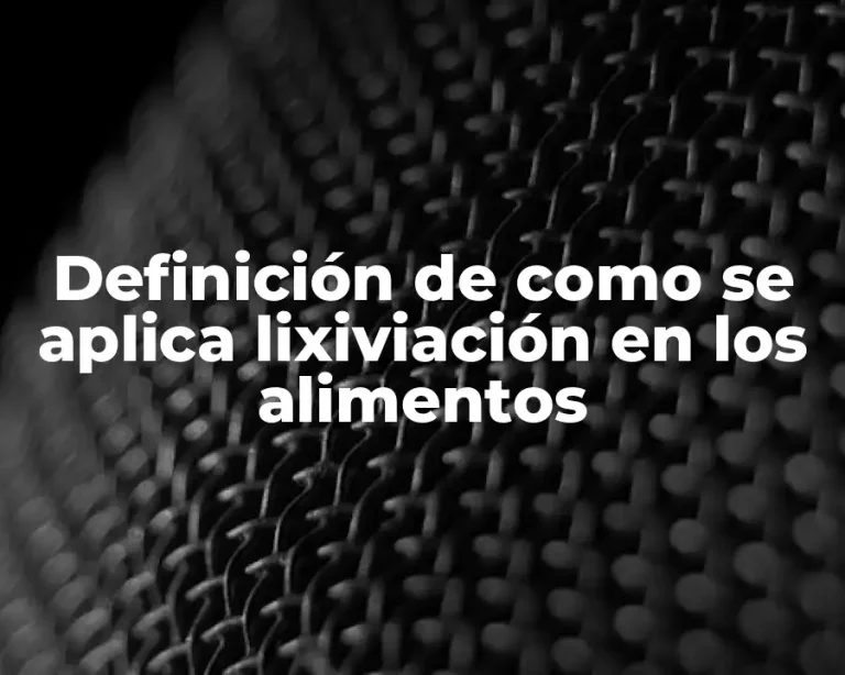 Definición de como se aplica lixiviación en los alimentos