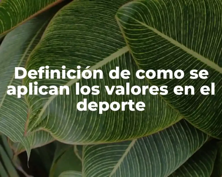 Definición de como se aplican los valores en el deporte