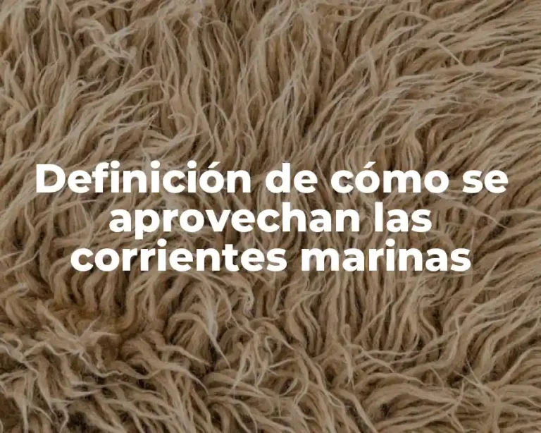 Definición de cómo se aprovechan las corrientes marinas