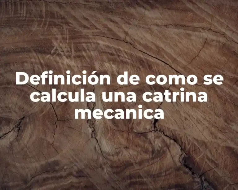 Definición de como se calcula una catrina mecanica