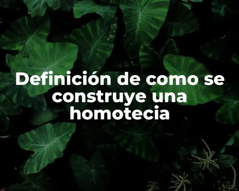 Definición de como se construye una homotecia