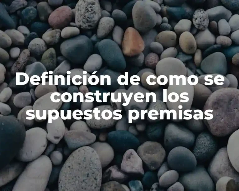 Definición de como se construyen los supuestos premisas