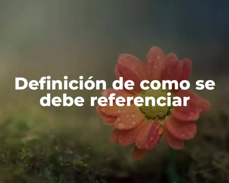 Definición de como se debe referenciar