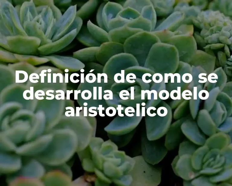 Definición de como se desarrolla el modelo aristotelico