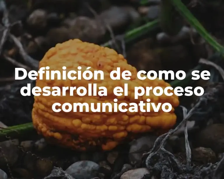 Definición de como se desarrolla el proceso comunicativo