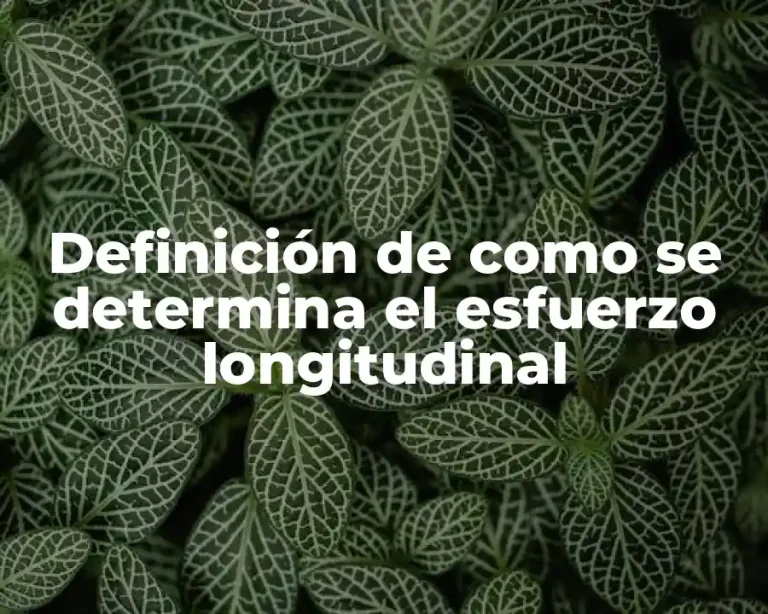 Definición de como se determina el esfuerzo longitudinal