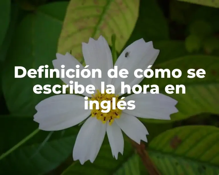 Definición de cómo se escribe la hora en inglés