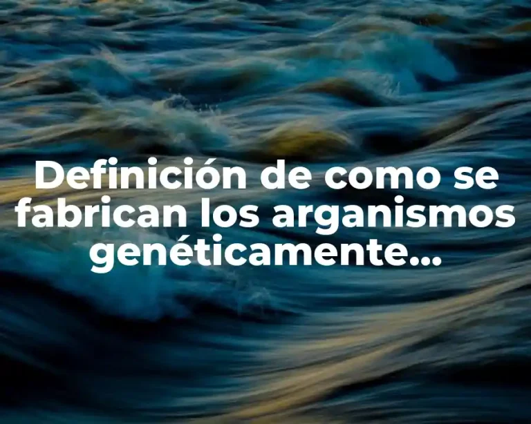 Definición de como se fabrican los arganismos genéticamente modificados