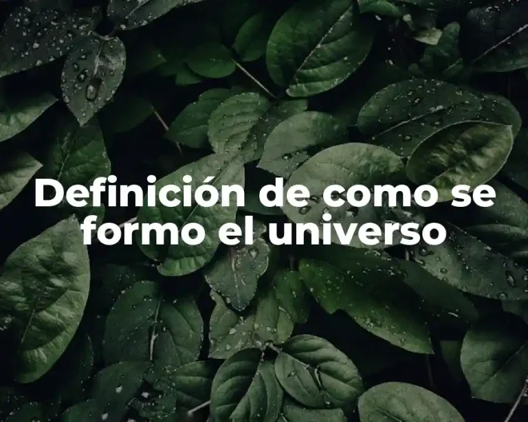 Definición de como se formo el universo