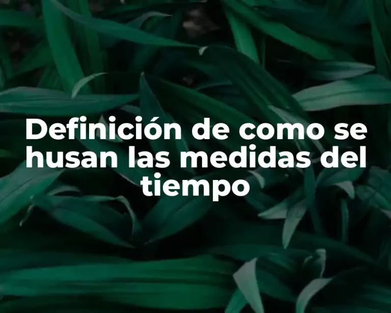 Definición de como se husan las medidas del tiempo