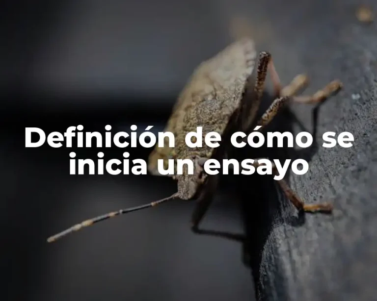 Definición de cómo se inicia un ensayo