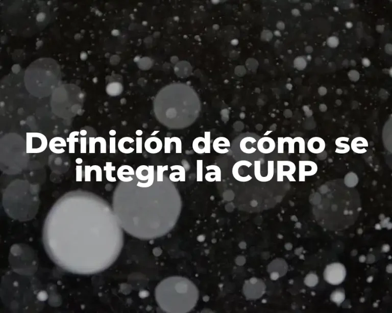 Definición de cómo se integra la CURP