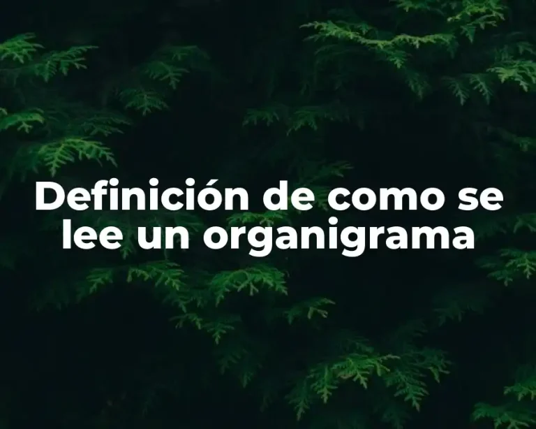 Definición de como se lee un organigrama