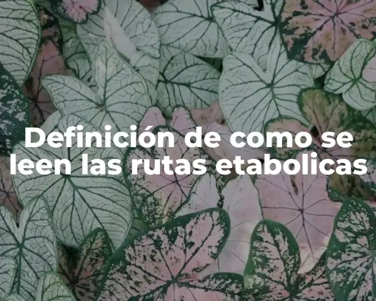 Definición de como se leen las rutas etabolicas