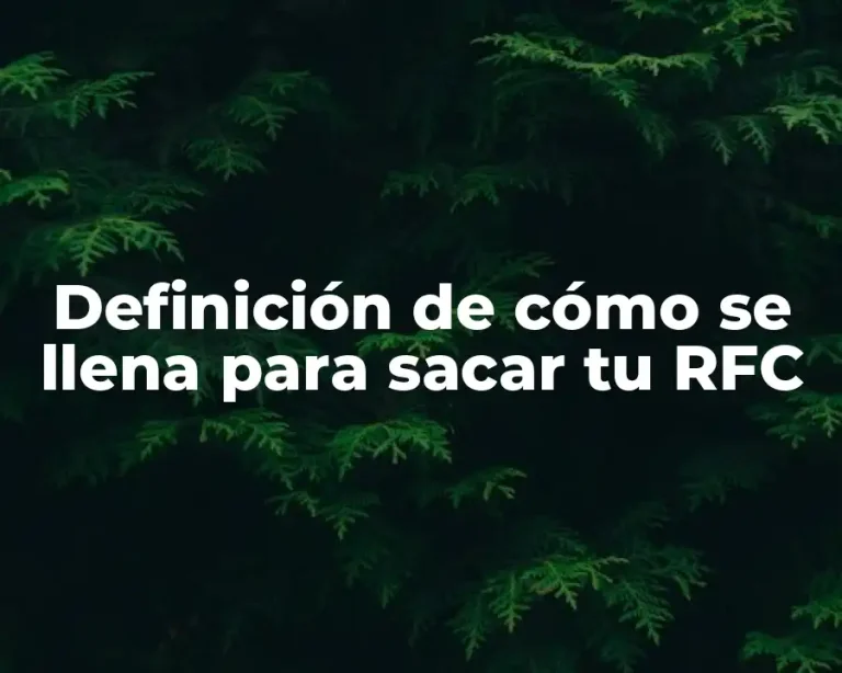 Definición de cómo se llena para sacar tu RFC