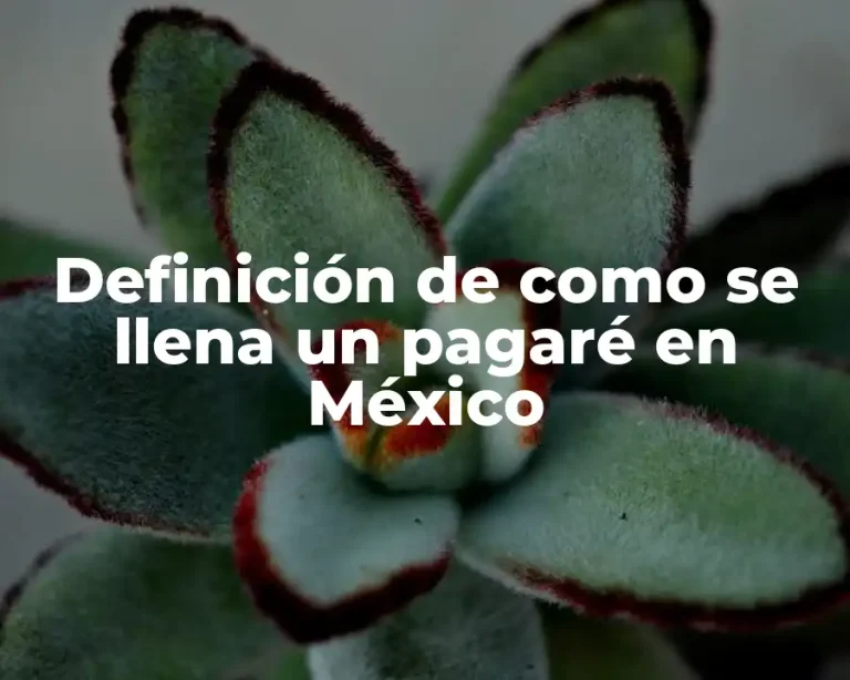 Definición de como se llena un pagaré en México