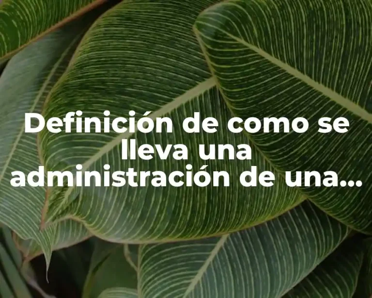 Definición de como se lleva una administración de una empresa