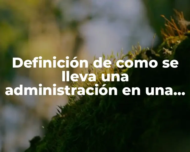 Definición de como se lleva una administración en una empresa