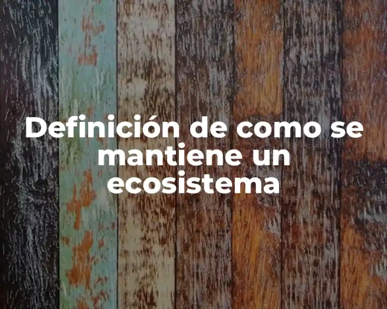 Definición de como se mantiene un ecosistema