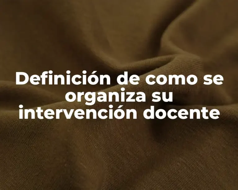 Definición de como se organiza su intervención docente