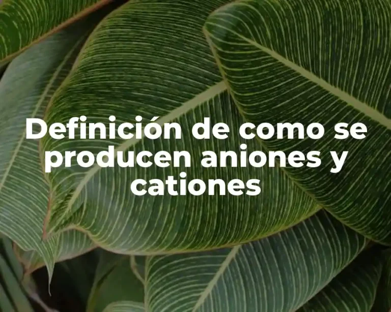 Definición de como se producen aniones y cationes