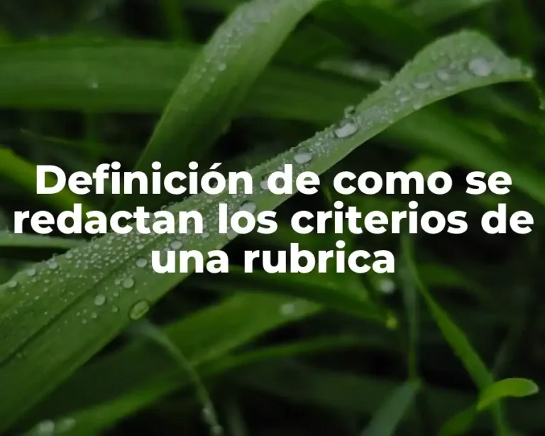 Definición de como se redactan los criterios de una rubrica