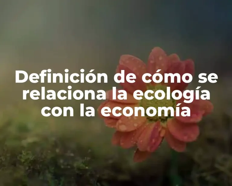Definición de cómo se relaciona la ecología con la economía