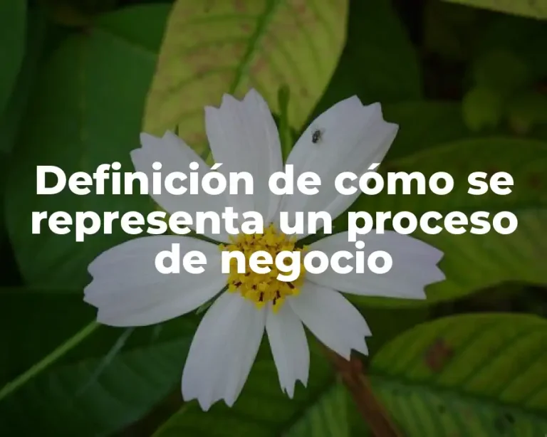 Definición de cómo se representa un proceso de negocio