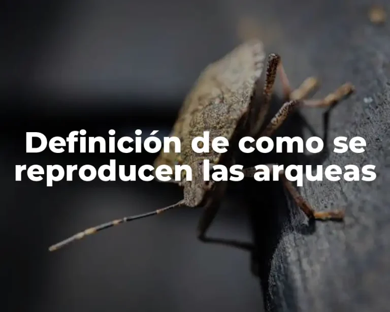 Definición de como se reproducen las arqueas