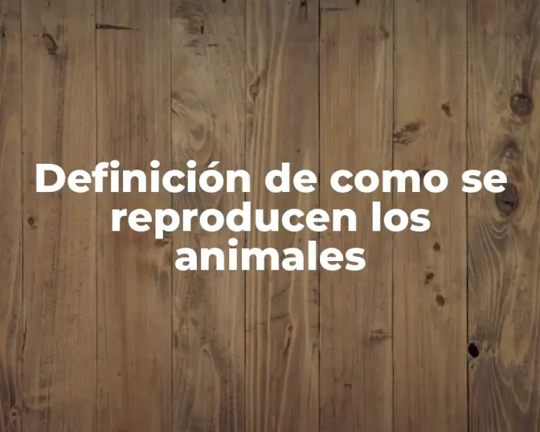 Definición de como se reproducen los animales
