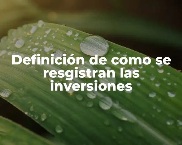 Definición de como se resgistran las inversiones