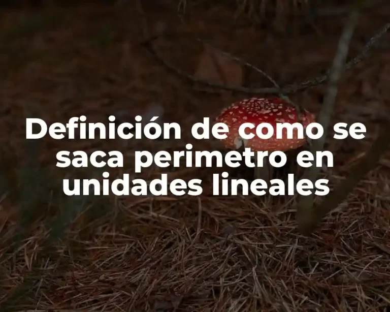 Definición de como se saca perimetro en unidades lineales