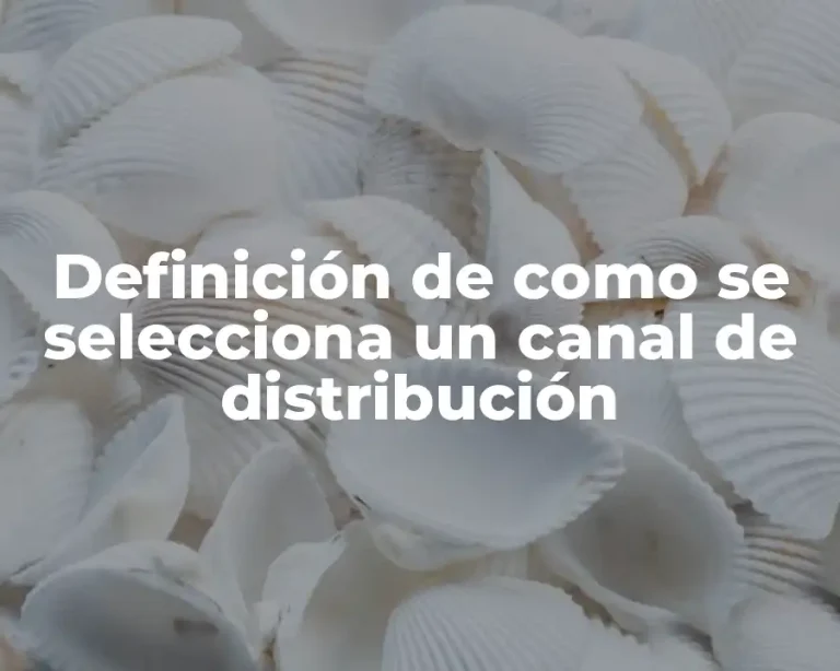 Definición de como se selecciona un canal de distribución