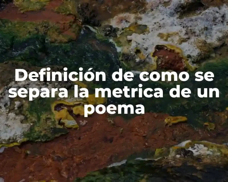 Definición de como se separa la metrica de un poema
