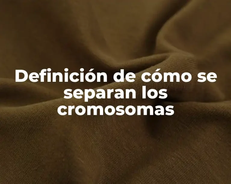 Definición de cómo se separan los cromosomas
