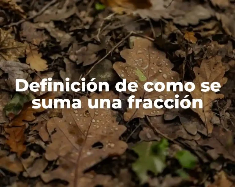 Definición de como se suma una fracción