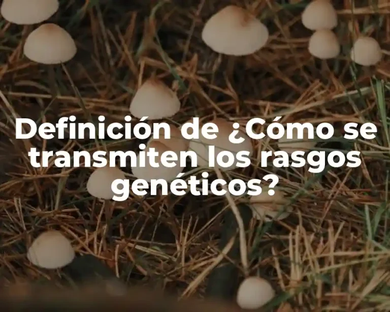 Definición de ¿Cómo se transmiten los rasgos genéticos?
