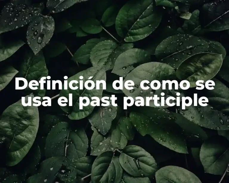 Definición de como se usa el past participle