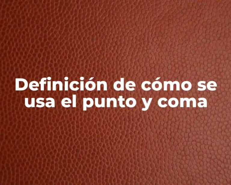 Definición de cómo se usa el punto y coma