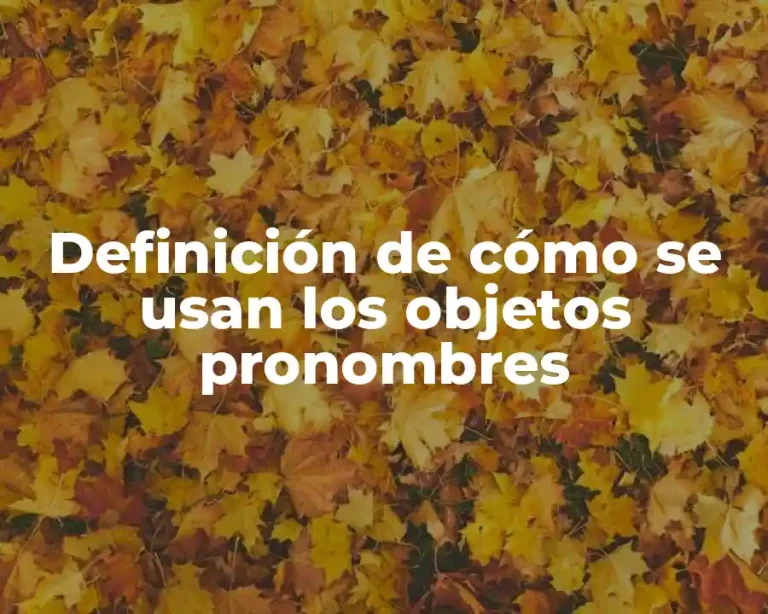 Definición de cómo se usan los objetos pronombres