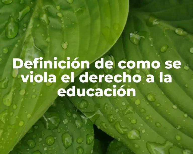 Definición de como se viola el derecho a la educación