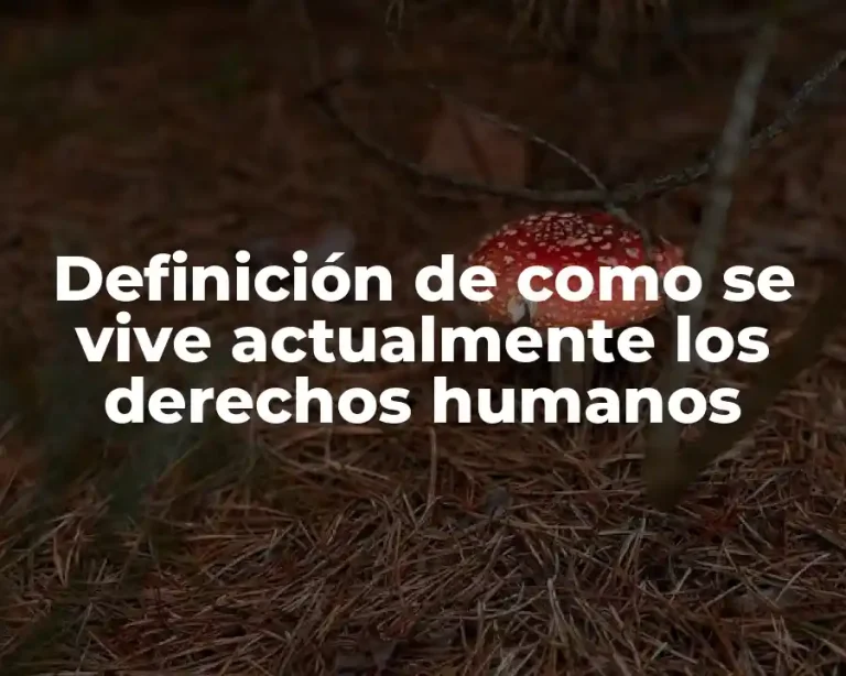 Definición de como se vive actualmente los derechos humanos